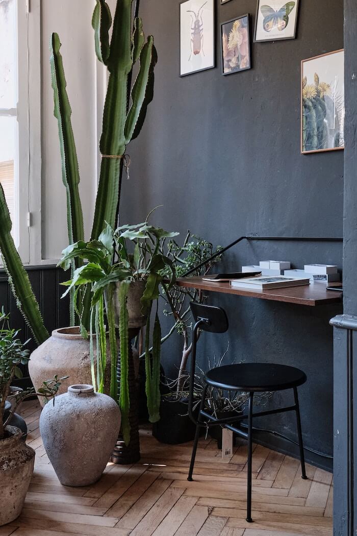 Home Office Möbel mit Pflanzen vor dunkelgrauer Wand