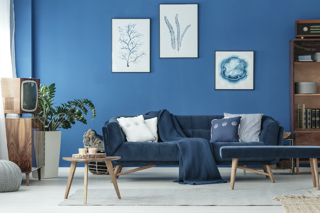 Taubenblau als Wohnraumfarbe an der Wand und als Sofabezug Farbe