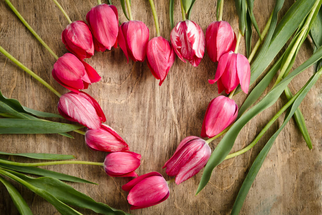 Zum Muttertag - Herz aus Tulpen