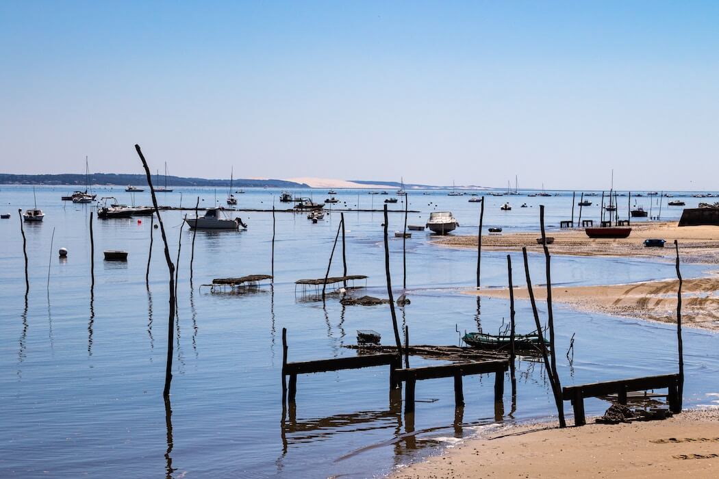 Landschaft bei Arcachon in Frankreich